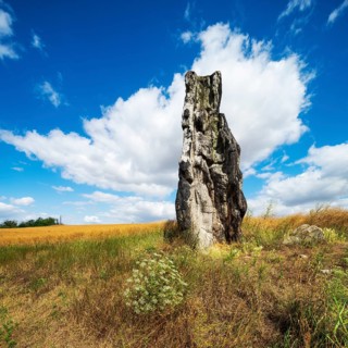 Stone virgin