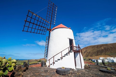 Windmill in the Jardin de Cactus