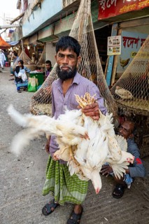 Man holding many chickens