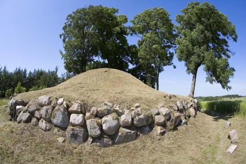 ibxnip01138330.jpg