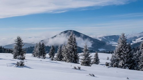 Winter Almenland