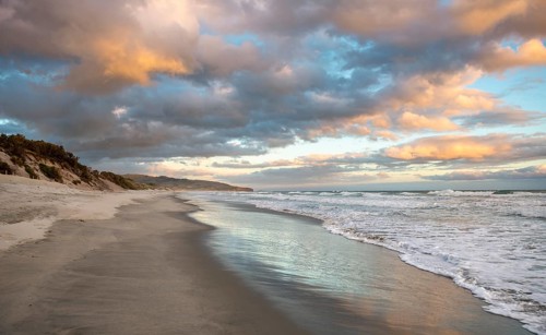 Sandy beach beach at sunset