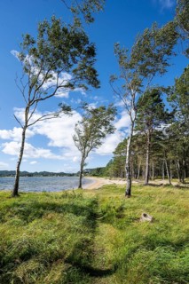 Coast in Furulunden nature park Park by Mannefjord
