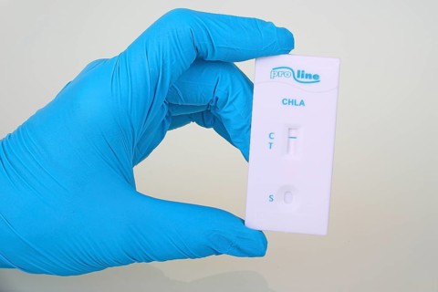 Quick test Chlamydia from ProLine