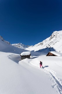 Lonely ski tourer