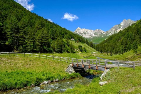 Bridge