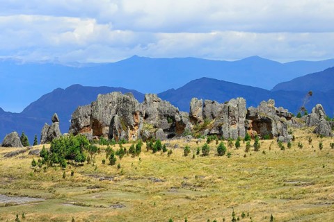 Rock formations in the Stone Forest