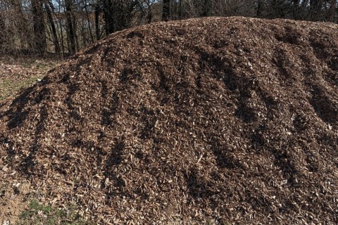 A mountain of wood chips from felled trees