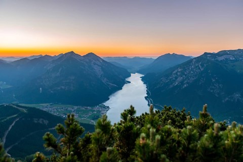 Mountain landscape with mountain pine at sunset