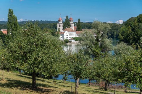 Rhine and Monastery Island