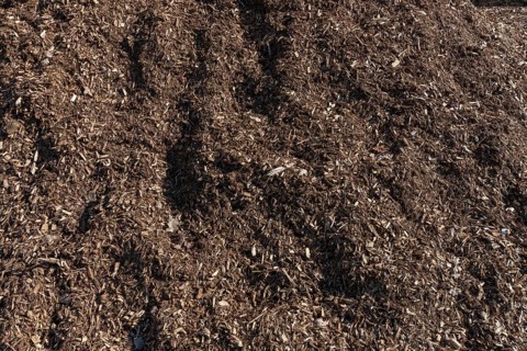 Wood chips from felled trees