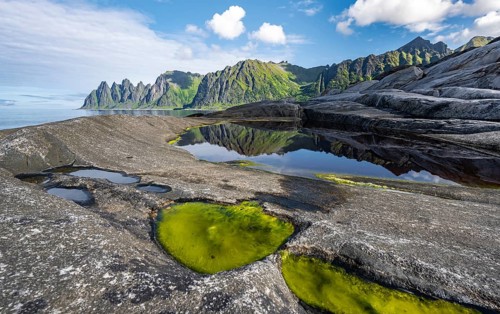 Tidal pool