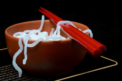 Shirataki noodles made from konjac flour in a bowl with chopsticks