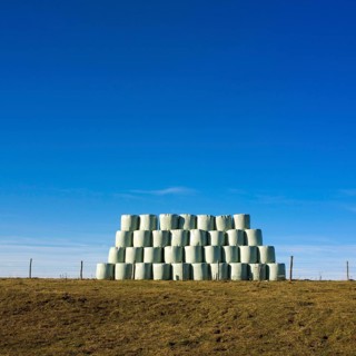 Plastic wrapped bales of straw