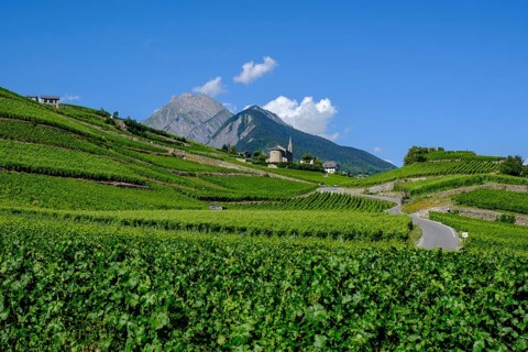 Rhone Valley