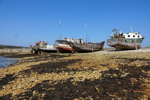 Shipwrecks ship graveyard in the port of Camaret-sur-Mer on the Crozon peninsula