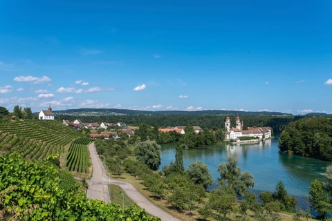 Rhine