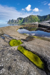 Tidal pool