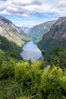 Mountains and fjord