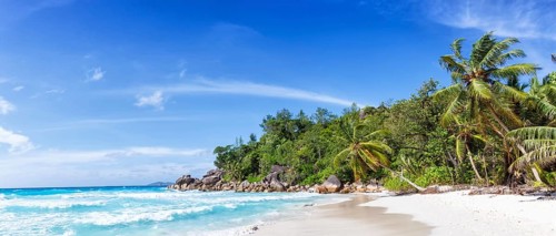 Anse Georgette beach holiday island Praslin palm panorama sea