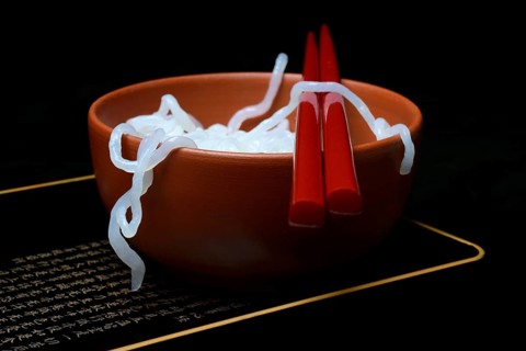 Shirataki noodles made from konjac flour in a bowl with chopsticks