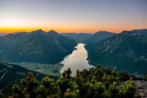 Mountain landscape with mountain pine at sunset