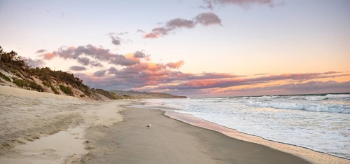 Sandy beach beach at sunset