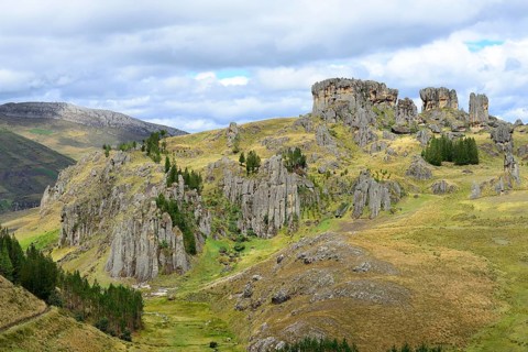 Rock formations in the Stone Forest