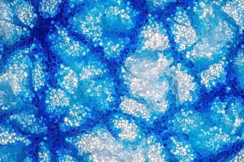 Cotton yarn dyed