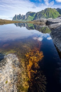 Tidal pool