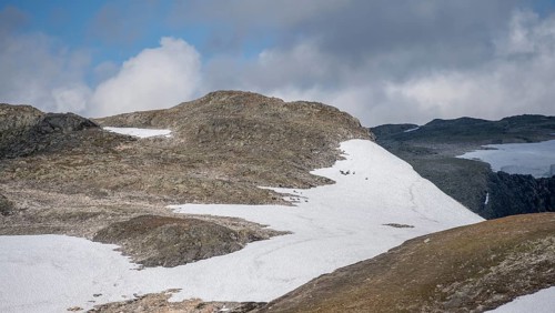 Snow-covered barren highlands with a herd of reindeer