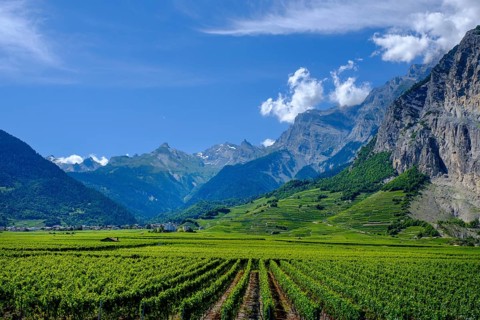 Rhone Valley