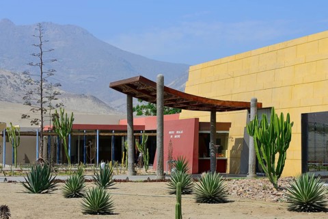 Huacas de Moche Museum