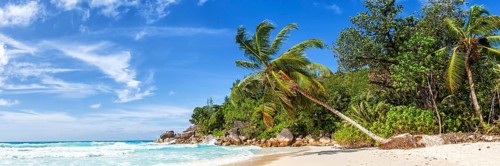 Anse Georgette beach holiday vacation island palm panorama paradise sea water on Praslin