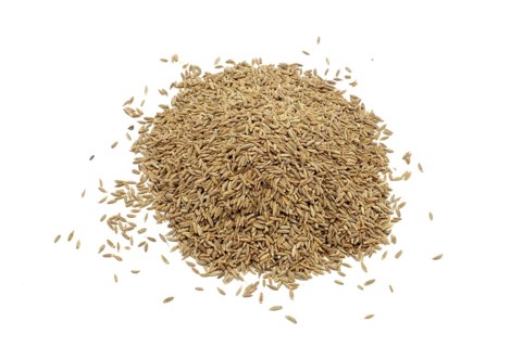 A pile of cumin seeds against a white background
