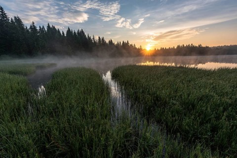 Moor lake at sunrise with morning haze