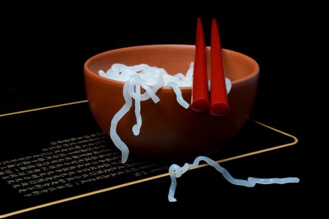 Shirataki noodles made from konjac flour in a bowl with chopsticks