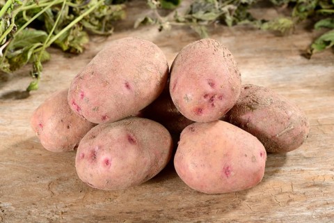 Potatoes