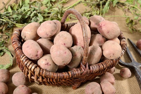 Potatoes