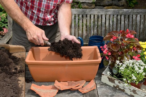 Planting plant container