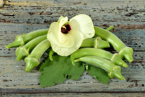 Okra