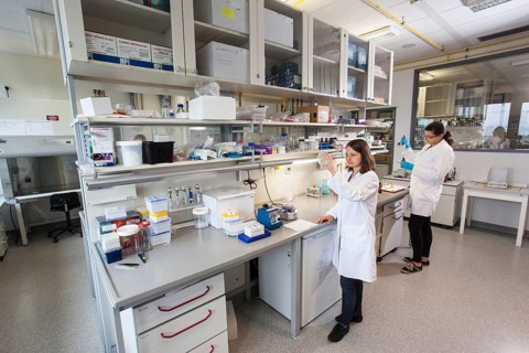 Scientist with a Petri dish containing a transformation of