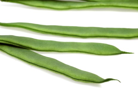 Garden Bean