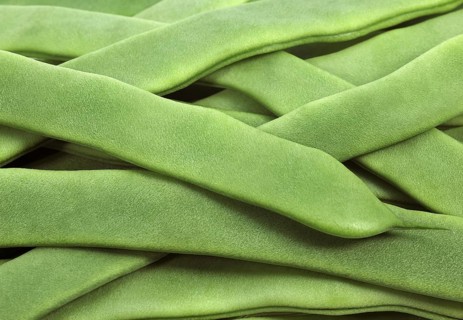 Garden Bean