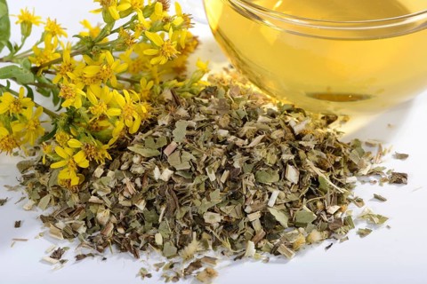 Cup goldenrod tea