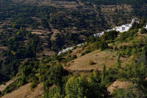 Capileira