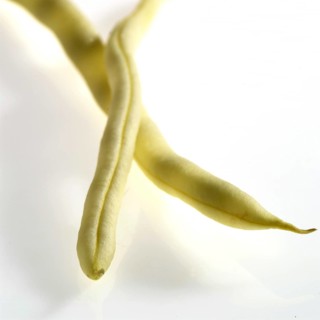 Garden Bean