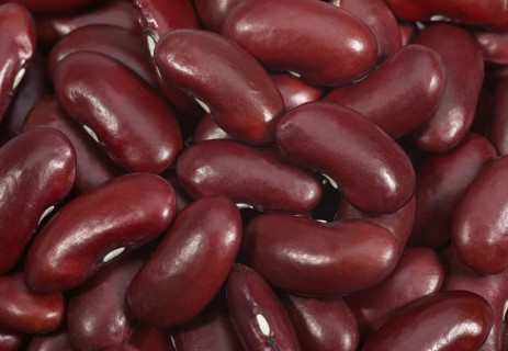 Garden Bean