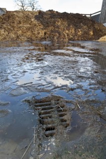 Effluent run off from manure heap going down drain into storage unit on dairy farm