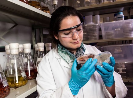 Scientist examining samples in the fungus room at the Institute of Pharmaceutical Biology and Biotechnology at Heinrich Heine University Duesseldorf